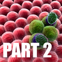 Foundations of Massage Therapy for Breast and Prostate Cancer