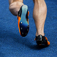 Soleus Muscle Injury
