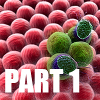 Cancer, Massage, and the Vital Organ Principles