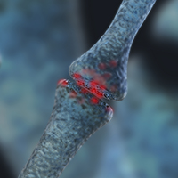 Putting the Pieces Together